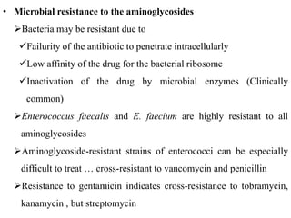• Microbial resistance to the aminoglycosides
Bacteria may be resistant due to
Failurity of the antibiotic to penetrate intracellularly
Low affinity of the drug for the bacterial ribosome
Inactivation of the drug by microbial enzymes (Clinically
common)
Enterococcus faecalis and E. faecium are highly resistant to all
aminoglycosides
Aminoglycoside-resistant strains of enterococci can be especially
difficult to treat … cross-resistant to vancomycin and penicillin
Resistance to gentamicin indicates cross-resistance to tobramycin,
kanamycin , but streptomycin
 