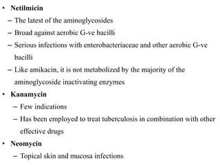 • Netilmicin
– The latest of the aminoglycosides
– Broad against aerobic G-ve bacilli
– Serious infections with enterobacteriaceae and other aerobic G-ve
bacilli
– Like amikacin, it is not metabolized by the majority of the
aminoglycoside inactivating enzymes
• Kanamycin
– Few indications
– Has been employed to treat tuberculosis in combination with other
effective drugs
• Neomycin
– Topical skin and mucosa infections
 