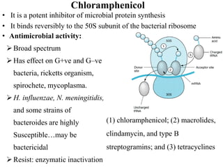 Chloramphenicol
• It is a potent inhibitor of microbial protein synthesis
• It binds reversibly to the 50S subunit of the bacterial ribosome
(1) chloramphenicol; (2) macrolides,
clindamycin, and type B
streptogramins; and (3) tetracyclines
• Antimicrobial activity:
Broad spectrum
Has effect on G+ve and G–ve
bacteria, ricketts organism,
spirochete, mycoplasma.
H. influenzae, N. meningitidis,
and some strains of
bacteroides are highly
Susceptible…may be
bactericidal
Resist: enzymatic inactivation
 