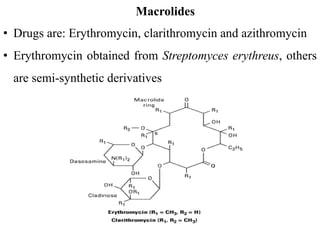 Macrolides
• Drugs are: Erythromycin, clarithromycin and azithromycin
• Erythromycin obtained from Streptomyces erythreus, others
are semi-synthetic derivatives
 