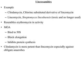 Lincosamides
• Example
– Clindamycin, Chlorine substituted derivative of lincomycin
– Lincomycin, Streptomyces lincolnensis (toxic and no longer used)
• Resembles erythromycin in activity
• MOA
– Bind to 50S
– Block elongation
– Inhibits protein synthesis
• Clindamycin is more potent than lincomycin especially against
obligate anaerobes
 