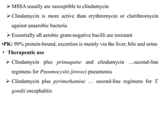  MSSA usually are susceptible to clindamycin
 Clindamycin is more active than erythromycin or clarithromycin
against anaerobic bacteria
 Essentially all aerobic gram-negative bacilli are resistant
•PK: 90% protein-bound, excretion is mainly via the liver, bile and urine
• Therapeutic use
 Clindamycin plus primaquine and clindamycin …second-line
regimens for Pneumocystis jiroveci pneumonia
 Clindamycin plus pyrimethamine … second-line regimens for T.
gondii encephalitis
 