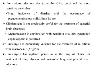  For serious infections due to aerobic G+ve cocci and the more
sensitive anaerobes
High incidence of diarrhea and the occurrence of
pseudomembranous colitis limit its use
 Clindamycin is not predictably useful for the treatment of bacterial
brain abscesses
 Metronidazole in combination with penicillin or a third-generation
cephalosporin is preferred
Clindamycin is particularly valuable for the treatment of infections
with anaerobes (B. fragilis)
Clindamycin has replaced penicillin as the drug of choice for
treatment of lung abscess and anaerobic lung and pleural space
infections
 