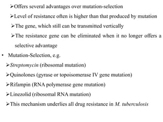 Offers several advantages over mutation-selection
Level of resistance often is higher than that produced by mutation
The gene, which still can be transmitted vertically
The resistance gene can be eliminated when it no longer offers a
selective advantage
• Mutation-Selection, e.g.
Streptomycin (ribosomal mutation)
Quinolones (gyrase or topoisomerase IV gene mutation)
Rifampin (RNA polymerase gene mutation)
Linezolid (ribosomal RNA mutation)
This mechanism underlies all drug resistance in M. tuberculosis
 