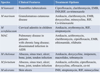 Species Clinical Features Treatment Options
M kansasii Resembles tuberculosis Ciprofloxacin, clarithromycin, EMB,
INH,RIF, co-trimoxazole
M marinum Granulomatous cutaneous
disease
Amikacin, clarithromycin, EMB,
doxycycline, minocycline, RIF,
Co-trimoxazole
M
scrofulaceum
Cervical adenitis in children Amikacin, erythromycin, RIF,
streptomycin
MAC Pulmonary disease in
patients
with chronic lung disease;
disseminated infection in
AIDS
Amikacin, azithromycin,
clarithromycin, ciprofloxacin, EMB,
ethionamide, rifabutin
M chelonae Abscess, sinus tract, ulcer;
bone, joint, tendon infection
Amikacin, doxycycline, imipenem,
macrolides, tobramycin
M fortuitum Abscess, sinus tract, ulcer;
bone, joint, tendon infection
Amikacin, cefoxitin, ciprofloxacin,
doxycycline, ofloxacin, co-tri
M ulcerans Skin ulcers INH, streptomycin, RIF, minocycline
 