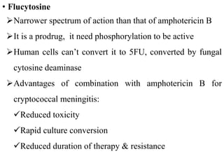 • Flucytosine
Narrower spectrum of action than that of amphotericin B
It is a prodrug, it need phosphorylation to be active
Human cells can’t convert it to 5FU, converted by fungal
cytosine deaminase
Advantages of combination with amphotericin B for
cryptococcal meningitis:
Reduced toxicity
Rapid culture conversion
Reduced duration of therapy & resistance
 