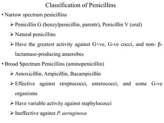 Classification of Penicillins
• Narrow spectrum penicillins
 Penicillin G (benzylpenicillin, parentr), Penicillin V (oral)
 Natural penicillins
 Have the greatest activity against G+ve, G-ve cocci, and non- β-
lactamase-producing anaerobes
• Broad Spectrum Penicillins (aminopenicillin)
 Amoxicillin, Ampicillin, Bacampicillin
 Effective against streptococci, enterococci, and some G-ve
organisms
 Have variable activity against staphylococci
 Ineffective against P. aeruginosa
 