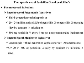 Therapeutic use of Penicillin G and penicillin V
• Pneumococcal Infections
 Pneumococcal Pneumonia (sensitive)
 Third-generation cephalosporin or
 20 - 24 million units (MU) of penicillin G or penicillin G procaine
/day by constant iv infusion or
 500 mg penicillin V every 6 hrs po, not recommended (resistance)
 Pneumococcal Meningitis (sensitive)
Vancomycin + third-generation cephalosporin + Dexamethasone
Or 20-24 MU of penicillin G daily by constant IV infusion/14
days
 