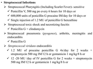 • Streptococcal Infections
 Streptococcal Pharyngitis (Including Scarlet Fever)- sensitive
 Penicillin V, 500 mg po every 6 hours for 10 days or
 600,000 units of penicillin G procaine IM/day for 10 days or
 Single injection of 1.2 MU of penicillin G benzathine
 Streptococcal toxic shock and necrotizing fascitis
 Penicillin G + clindamycin
 Streptococcal pneumonia (pyogenes), arthritis, meningitis and
endocarditis
 Penicillin G
 Streptococcal viridans endocarditis
 1.2 MU of procaine penicillin G 4x/day for 2 weeks +
streptomycin 500 mg IM/12 h or gentamicin 1 mg/kg/8 h or
 12 -20 MU /day of IV penicillin G for 2 weeks + streptomycin
500 mg IM/12 h or gentamicin 1 mg/kg/8 h or
 