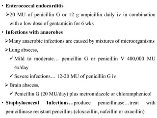 • Enterococcal endocarditis
20 MU of penicillin G or 12 g ampicillin daily iv in combination
with a low dose of gentamicin for 6 wks
• Infections with anaerobes
Many anaerobic infections are caused by mixtures of microorganisms
Lung abscess,
Mild to moderate… penicillin G or penicillin V 400,000 MU
4x/day
Severe infections… 12-20 MU of penicillin G iv
Brain abscess,
Penicillin G (20 MU/day) plus metronidazole or chloramphenicol
• Staphylococcal Infections…produce penicillinase…treat with
penicillinase resistant pencillins (cloxacillin, nafcillin or oxacillin)
 