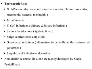 • Therapeutic Uses
 H. Influenza infections ( otitis media, sinusitis, chronic bronchitis,
pneumonia, bacterial meningitis )
 M. catarrhalis
 E. Coli infections ( Urinary & biliary infections )
 Samonella infections ( typhoid fever )
 Shigella infections ( ampicillin )
 Gonococcal infections ( alternative for penicillin in the treatment of
gonorrhea )
 Prophlaxis of infective endocarditis
• Amoxicillin & ampicillin alone are readily destroyed by Staph.
Penicillinase
 