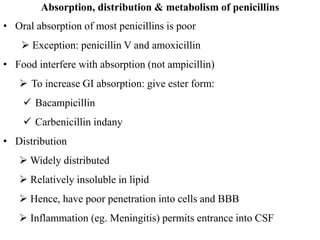 Absorption, distribution & metabolism of penicillins
• Oral absorption of most penicillins is poor
 Exception: penicillin V and amoxicillin
• Food interfere with absorption (not ampicillin)
 To increase GI absorption: give ester form:
 Bacampicillin
 Carbenicillin indany
• Distribution
 Widely distributed
 Relatively insoluble in lipid
 Hence, have poor penetration into cells and BBB
 Inflammation (eg. Meningitis) permits entrance into CSF
 