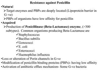 Resistance against Penicillin
•Natural
Target enzymes and PBPs are deeply located (Lipoprotein barrier in
G–ve)
PBPs of organisms have low affinity for penicillin
•Acquired
Production of Penicillinase (Beta-Lactamase) enzyme, (>300
subtypes). Common organisms producing Beta-Lactamase are
Staphylococcus
Bacillus subtilis
Gonococci
E. coli
Enterococci
Haemophilus influenza
•Loss or alteration of Porin channels in G-ve
•Modification of penicillin binding proteins (PBPs)- having low affinity
•Activation of antibiotic efflux mechanism- Some G-ve bacteria
 
