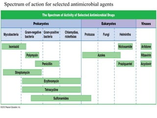 Spectrum of action for selected antimicrobial agents
 