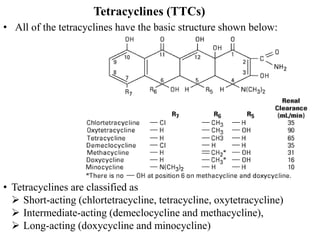 Tetracyclines (TTCs)
• All of the tetracyclines have the basic structure shown below:
• Tetracyclines are classified as
 Short-acting (chlortetracycline, tetracycline, oxytetracycline)
 Intermediate-acting (demeclocycline and methacycline),
 Long-acting (doxycycline and minocycline)
 