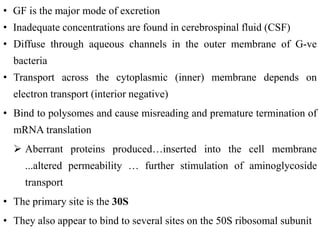 • GF is the major mode of excretion
• Inadequate concentrations are found in cerebrospinal fluid (CSF)
• Diffuse through aqueous channels in the outer membrane of G-ve
bacteria
• Transport across the cytoplasmic (inner) membrane depends on
electron transport (interior negative)
• Bind to polysomes and cause misreading and premature termination of
mRNA translation
 Aberrant proteins produced…inserted into the cell membrane
...altered permeability … further stimulation of aminoglycoside
transport
• The primary site is the 30S
• They also appear to bind to several sites on the 50S ribosomal subunit
 