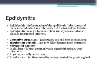 Epdidymitis
• Epididymitis is inflammation of the epididymis (tube stores and
carries sperm), which is a tube located at the back of the testicles.
• Epididymitis is caused by an infection, usually a bacterial or a
sexually transmitted infection.
• Causative Organism:- Escherichia coli and Pseudomonas spp.
• Incubation Period:- Days to Weeks (depends upon organism)
• Spreading Factor :-
 In children it is most commonly associated with urinary tract
infections
 In young, sexually active men
 In older men it is often caused by enlargement of the prostate gland
 