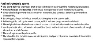 Anti-microtubule agents
are plant-derived chemicals that block cell division by preventing microtubule function.
Vinca alkaloids and taxanes are the two main groups of anti-microtubule agents.
Vinca alkaloids prevent the assembly of microtubules, whereas taxanes prevent their
disassembly.
By doing so, they can induce mitotic catastrophe in the cancer cells.
Following this, cell cycle arrest occurs, which induces programmed cell death .
The original vinca alkaloids are natural products that include vincristine and vinblastine.
semi-synthetic vinca alkaloids : vinorelbine (used in the treatment of non-small-cell lung),
vindesine, and vinflunine.
These drugs are cell cycle-specific.
They bind to the tubulin molecules in S-phase and prevent proper microtubule formation
required for M-phase.
 
