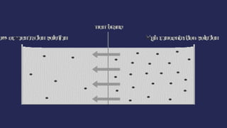 CHEM PATH 14; WATER AND SODIUM HOMEOSTASIS 400 level.pptx