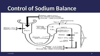 CHEM PATH 14; WATER AND SODIUM HOMEOSTASIS 400 level.pptx