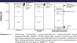 CHEM PATH 14; WATER AND SODIUM HOMEOSTASIS 400 level.pptx