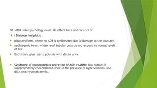 CHEM PATH 16; Renal function, Dysfunction and investigations.pptx