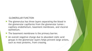 CHEM PATH 16; Renal function, Dysfunction and investigations.pptx