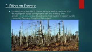 2. Effect on Forests:
 It makes trees vulnerable to disease, extreme weather, and insects by
destroying their leaves, damaging the bark and arresting their
growth. Forest damage due to acid rain is most evident in Eastern Europe
– especially Germany, Poland and Switzerland.
 