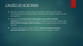 CAUSES OF ACID RAIN:
 Volcanic eruptions, earthquakes, natural fires, lightning and some
microbial processes release sulphur dioxide and nitrogen oxides into the
atmosphere.
 However, it is human action that causes most sulphur dioxide
emissions due to the burning of fuels in industry and power stations, as
well as half of nitrogen oxide emissions due to gases produced by motor
vehicles.
 Likewise, although to a lesser extent, intensive livestock farming
produces ammonia from the decomposition of organic matter.
 