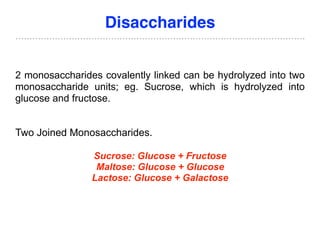 Disaccharides
2 monosaccharides covalently linked can be hydrolyzed into two
monosaccharide units; eg. Sucrose, which is hydrolyzed into
glucose and fructose.
Two Joined Monosaccharides.
Sucrose: Glucose + Fructose
Maltose: Glucose + Glucose
Lactose: Glucose + Galactose
 