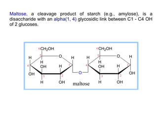 Maltose, a cleavage product of starch (e.g., amylose), is a
disaccharide with an alpha(1, 4) glycosidic link between C1 - C4 OH
of 2 glucoses.
H O
OH
H
OHH
OH
CH2OH
H
O H
OH
H
OHH
OH
CH2OH
H
O
HH
1
23
5
4
6
1
23
4
5
6
maltose
 