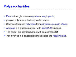 Polysaccharides
➤ Plants store glucose as amylose or amylopectin,
➤ glucose polymers collectively called starch.
➤ Glucose storage in polymeric form minimizes osmotic effects.
➤ Amylose is a glucose polymer with alpha(1,4) linkages.
➤ The end of the polysaccharide with an anomeric C1
➤ not involved in a glycosidic bond is called the reducing end.
 