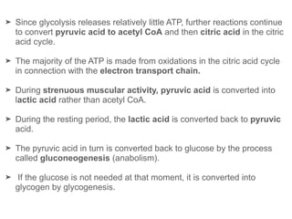 ➤ Since glycolysis releases relatively little ATP, further reactions continue
to convert pyruvic acid to acetyl CoA and then citric acid in the citric
acid cycle.
➤ The majority of the ATP is made from oxidations in the citric acid cycle
in connection with the electron transport chain.
➤ During strenuous muscular activity, pyruvic acid is converted into
lactic acid rather than acetyl CoA.
➤ During the resting period, the lactic acid is converted back to pyruvic
acid.
➤ The pyruvic acid in turn is converted back to glucose by the process
called gluconeogenesis (anabolism).
➤ If the glucose is not needed at that moment, it is converted into
glycogen by glycogenesis.
 