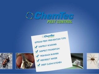 Spring Pest Tips From ChemTec Pest Control