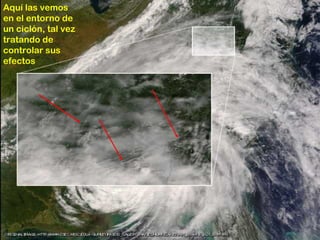 Aquí las vemos en el entorno de un ciclón, tal vez tratando de controlar sus efectos 