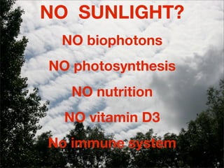 NO SUNLIGHT?
 NO biophotons
NO photosynthesis
   NO nutrition
  NO vitamin D3
No immune system
 
