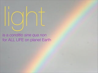 light
is a conditio sine qua non
for ALL LIFE on planet Earth
 