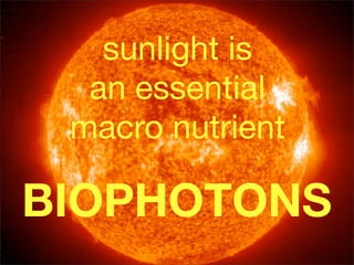 sunlight is
  an essential
 macro nutrient

BIOPHOTONS
 