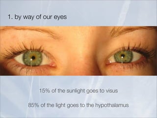 1. by way of our eyes




           15% of the sunlight goes to visus

       85% of the light goes to the hypothalamus
 
