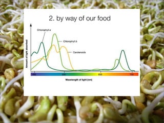 2. by way of our food
 