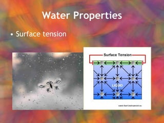 Water Properties Surface tension 