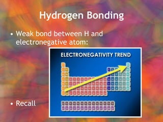Hydrogen Bonding Weak bond between H and electronegative atom: Recall 