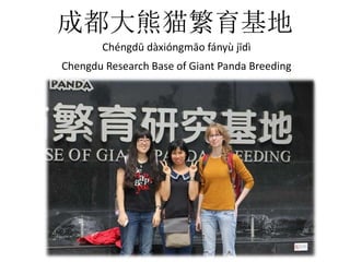 成都大熊猫繁育基地 
Chéngdū dàxióngmāo fányù jīdì 
Chengdu Research Base of Giant Panda Breeding 
 