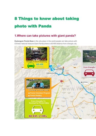 8 Things to know about taking
photo with Panda
1.Where can take pictures with giant panda?
Dujiangyan Panda Base is the only place in the world people can take picture with
Chinese national treasure-Giant Panda.where is 60 KM distance from chengdu city.
 