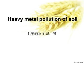 Heavy metal pollution of soil 土壤的重金属污染 