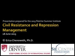 Presentation	
  prepared	
  for	
  the	
  2013	
  Fletcher	
  Summer	
  Institute	
  
 
 