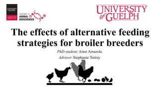 The effects of alternative feeding
strategies for broiler breeders
PhD student: Aitor Arrazola
Advisor: Stephanie Torrey
 