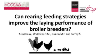Can rearing feeding strategies
improve the laying performance of
broiler breeders?
Arrazola A., Widowski T.M., Guerin M.T. and Torrey S.
 