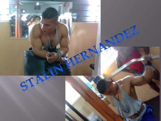 STALIN HERNANDEZ