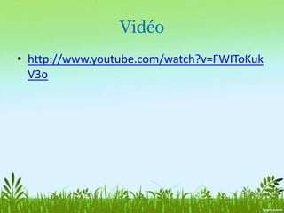 Exemple d’activitéC’est quoi les changements climatiques?Pourquoi y a-t-il des changements climatiques?Quels sont leurs impacts?Film portant sur les changements climatiques et activité Le problème à l’envers.